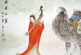 画图省识春风面环佩空归夜月魂，环佩空归夜月魂的环佩是什么意思