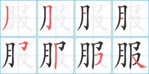 服的笔顺笔画，服的笔顺笔画顺序怎么写