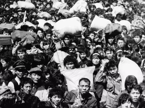 1986年属虎是什么命，1986年属虎女2023年的运势和婚姻