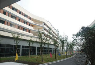 宿舍楼的建筑造型是什么