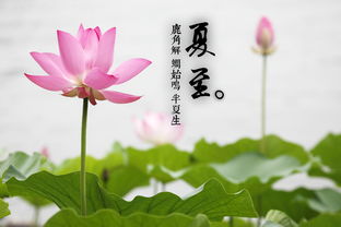 夏至九九歌解释，夏至九九歌图片