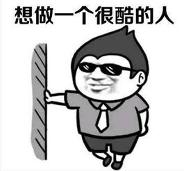 "cool"有几种意思?