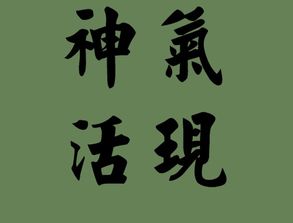 神气造句二年级，神气造句两个意思造句