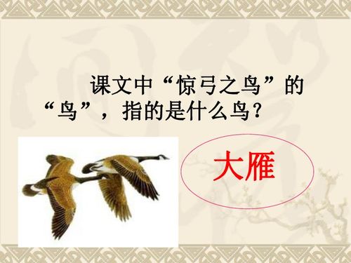 四年级 寓言两则ppt
