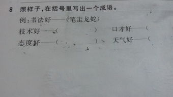 带有好字的成语，夸别人一手好字的成语
