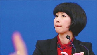 外交部翻译室美女翻译张璐的资料