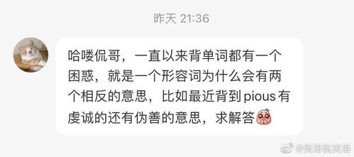 虚的意思