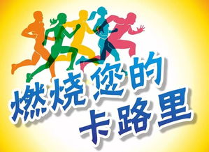 1500千焦是多少大卡高吗，1500千焦是多少大卡热量