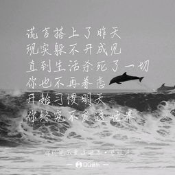 孱弱的拼音和意思
