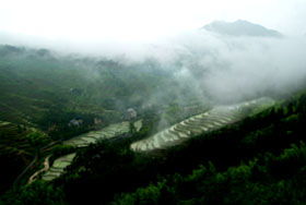 金鸡山公园景点介绍
