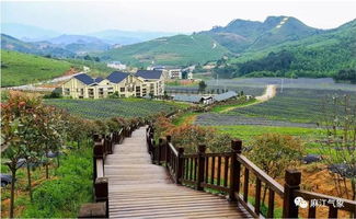贵州麻江天气，麻江天气预报7天查询