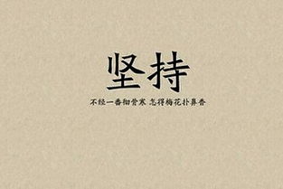 从来不在乎歌词，从来不在乎别人的评价的人