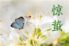 谍战深海之惊蛰怎么读，二十四节气有哪些