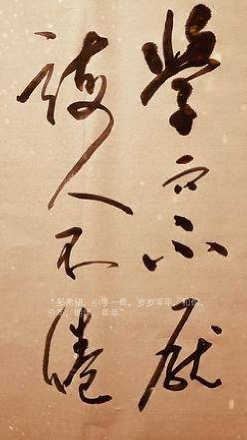 学而不厌诲人不倦是什么意思?