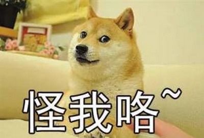 真是哔了poi了什么意思?