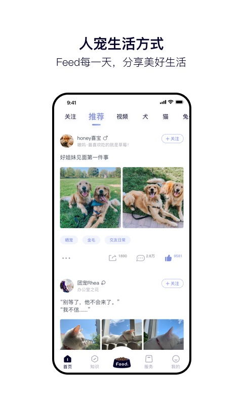 feed是什么意思