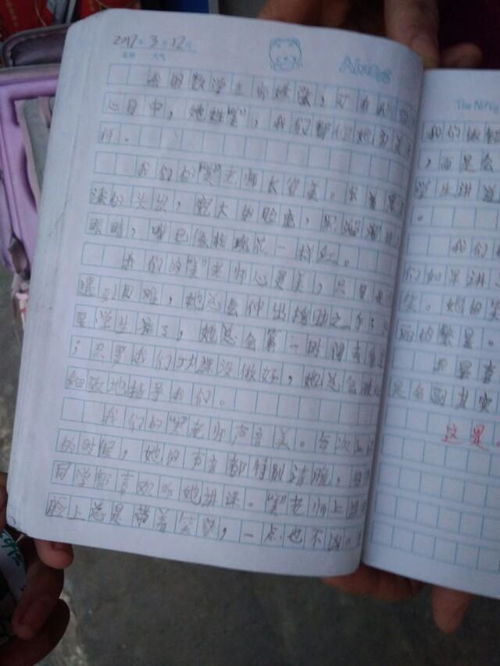 零分作文破格被北大录取，李沛然2017高考零分作文