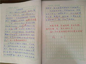 优秀作文大全600字左右(精选6篇)