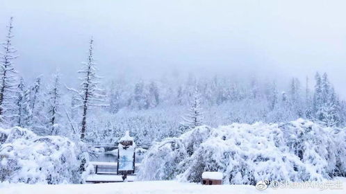 四川下雪了吗现在，四川下雪的地方景点