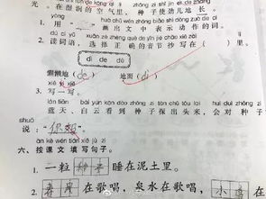 用国王造句(大约30个左右)