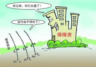网络语言钢筋是什么意思