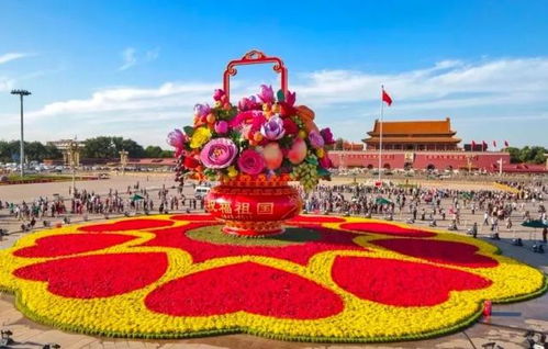 国庆花坛常用花卉，欢度国庆花坛