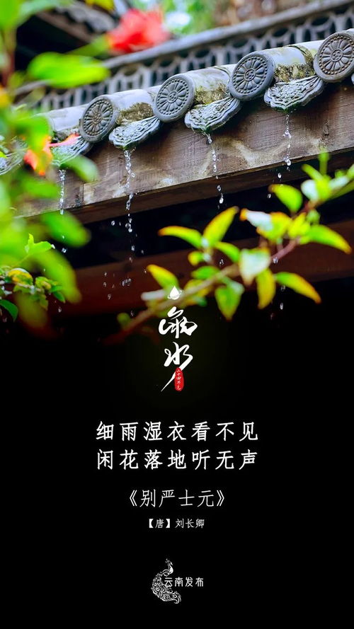 细雨湿衣看不见,闲花落地听无声.这句话是什么意思啊?