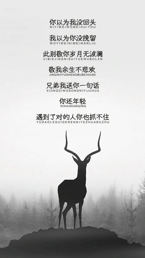 别再挽留我的歌曲歌词