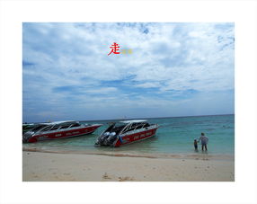 浮浅拼音，浮浅稚拙什么意思