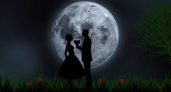 婚神星座怎么看