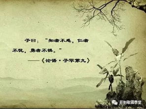 子罕第九原文朗读视频，子罕第九原文注音
