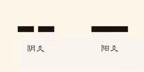 阳爻阴爻怎么看，阳爻阴爻