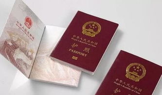 什么是passport