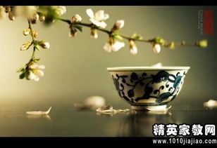 好句摘抄大全10字20字，好句摘抄大全10字三年级