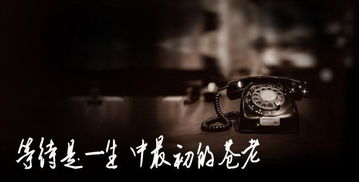 苍老的近义词