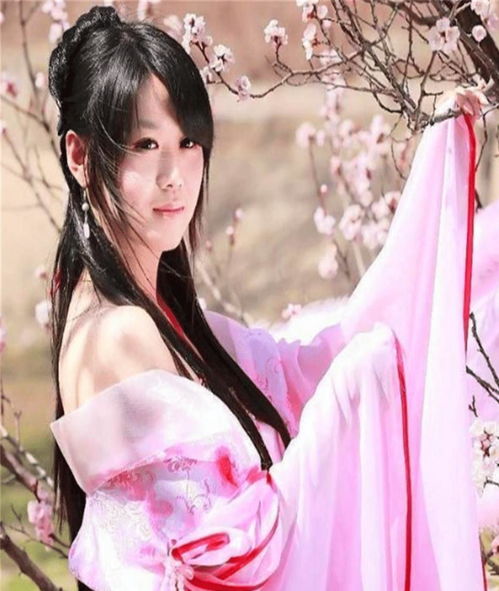 青丝是什么意思?