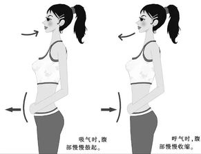 紧贴肾表面的被膜是( )，紧贴实战