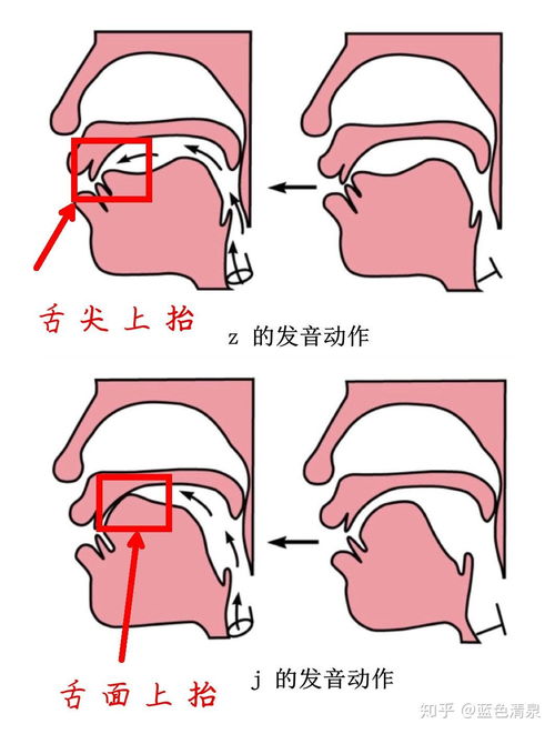 散发的读音
