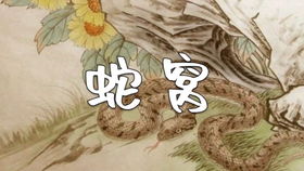 有关蛇的故事和传说