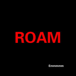 roaming，roam是什么意思