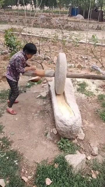 先人的意思