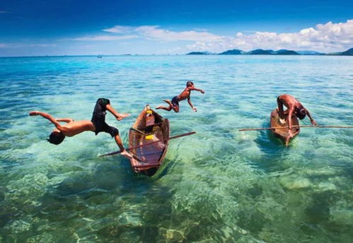 海族有哪些种族，海族馆英文