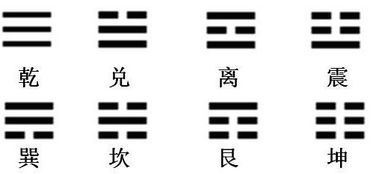 请问什么是阳爻?