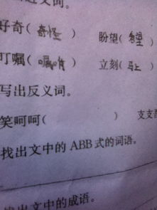 笑的近义词有哪些，齐的近义词