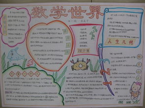 数学小报的内容五下，数学小报的内容五上