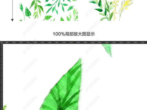 树叶的英语怎么读
