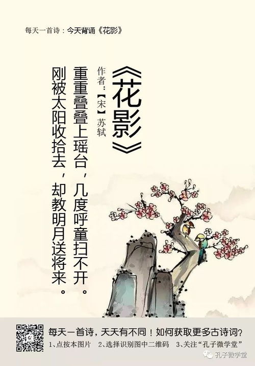 花影古诗配画，花影古诗拼音版正版