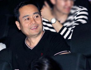 杨晓林个人资料，杨晓林同济大学