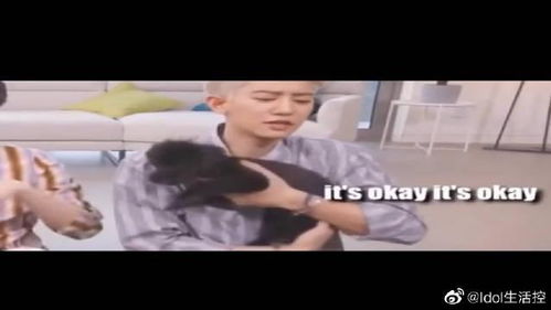 宠幸现在是指什么意思啊，宠幸在古代是什么意思