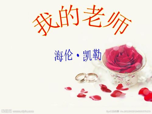 我的老师齐白石美点推荐，我的老师作文800字优秀作文